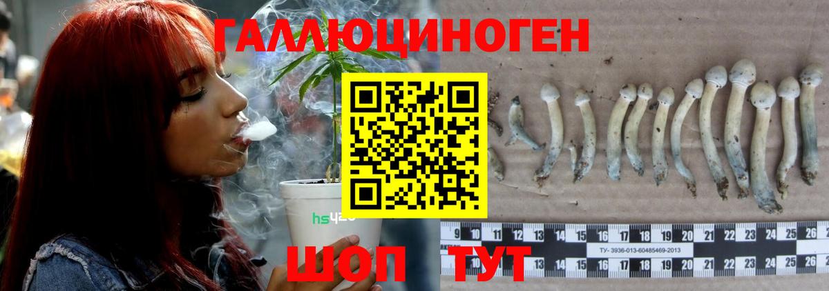 Миасс  Галлюциногенные грибы GOLDEN TEACHER  Вход с VPN  Галлюциногенные грибы Cubensis 